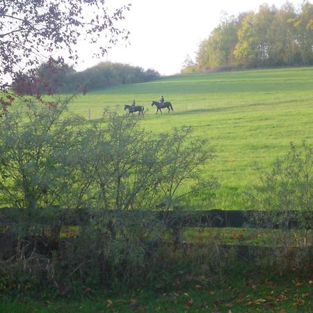 Natur Pur Mit Fernblick Fuer Wanderfreunde Bad Sachsa Zewnętrze zdjęcie