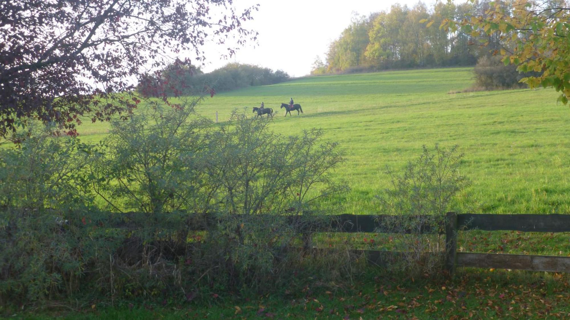 Natur Pur Mit Fernblick Fuer Wanderfreunde Bad Sachsa Zewnętrze zdjęcie