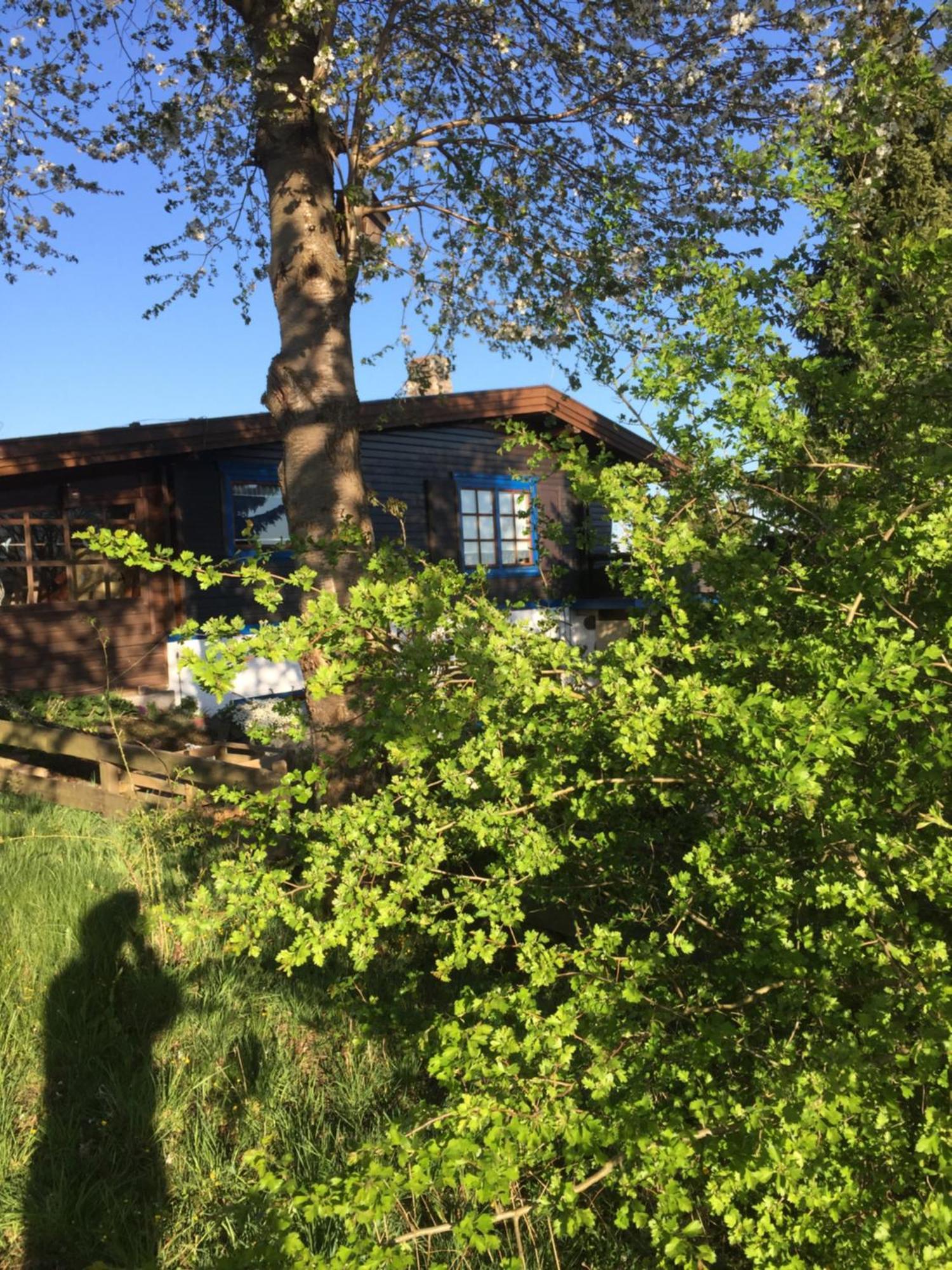 Natur Pur Mit Fernblick Fuer Wanderfreunde Bad Sachsa Zewnętrze zdjęcie
